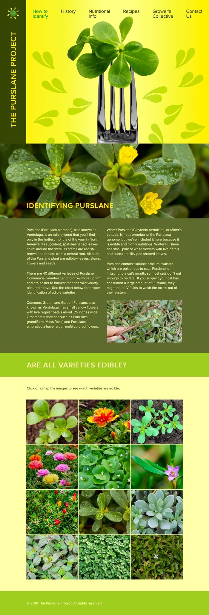 full page layout